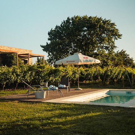 Pizzorno Lodge & Wine Progreso ภายนอก รูปภาพ