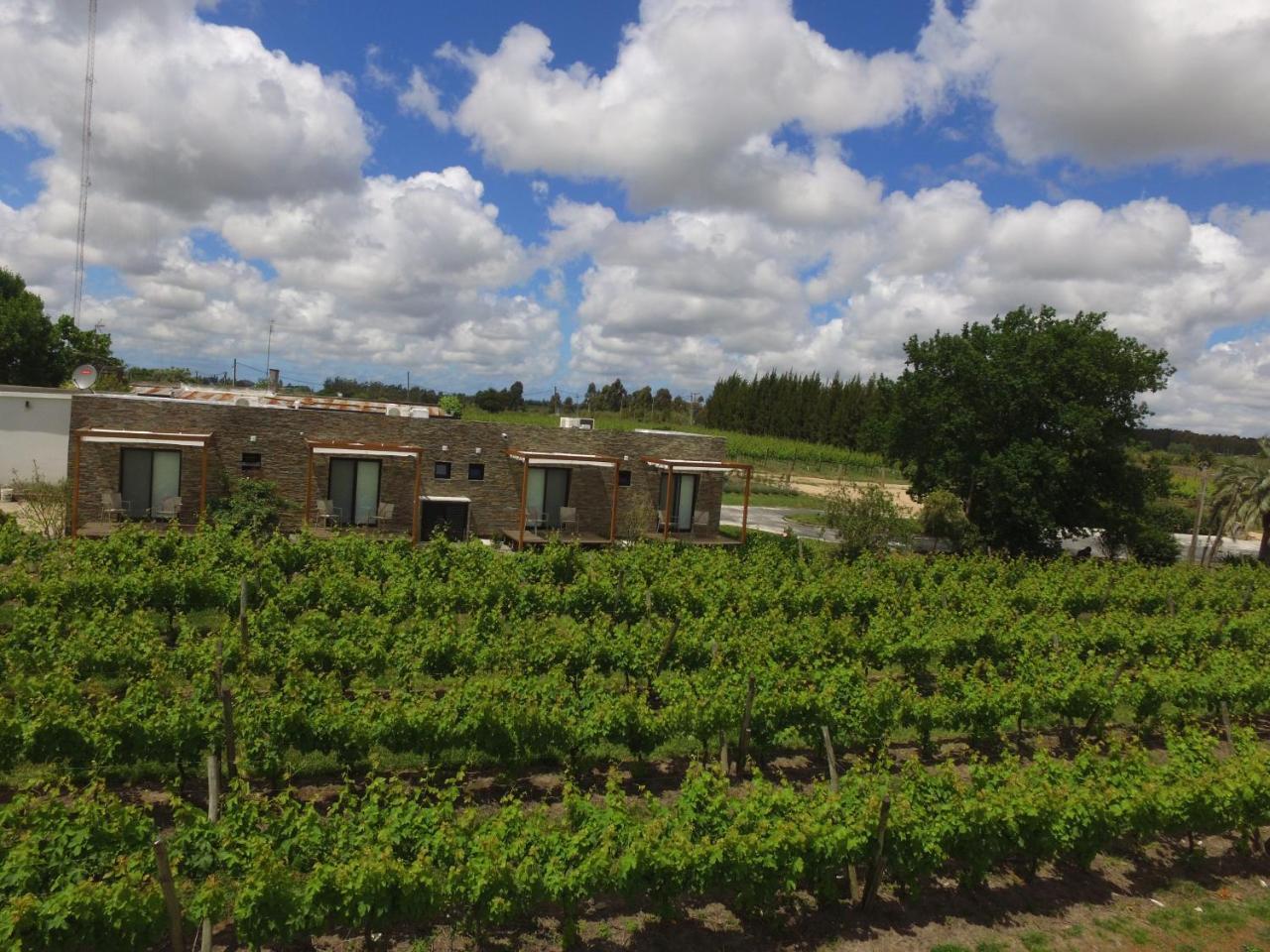 Pizzorno Lodge & Wine Progreso ภายนอก รูปภาพ