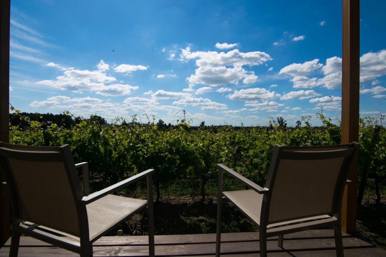 Pizzorno Lodge & Wine Progreso ภายนอก รูปภาพ