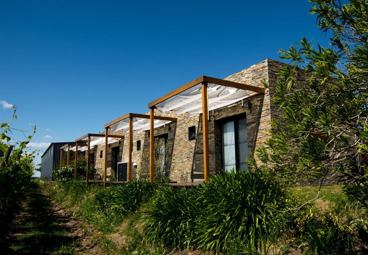 Pizzorno Lodge & Wine Progreso ภายนอก รูปภาพ