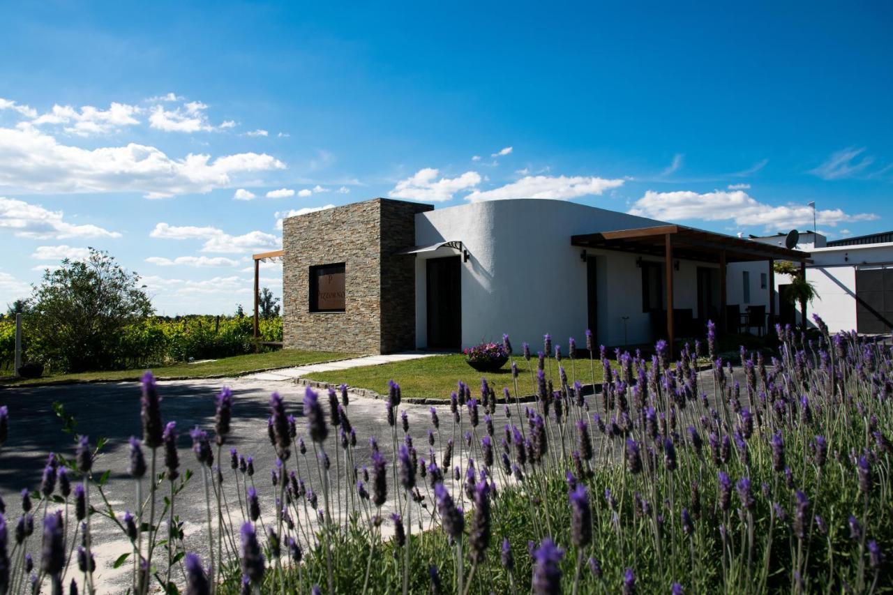 Pizzorno Lodge & Wine Progreso ภายนอก รูปภาพ